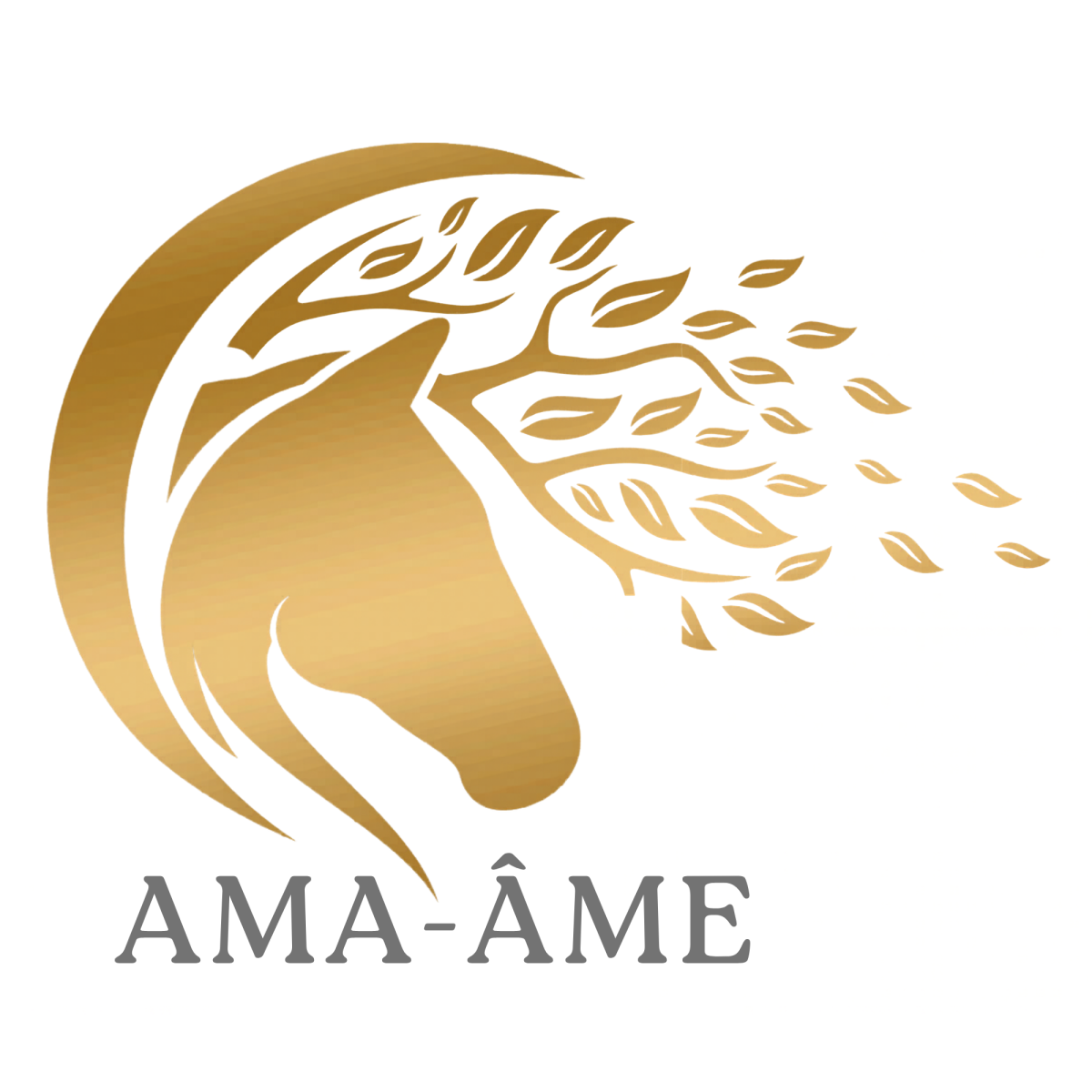 Nom de l'entreprise